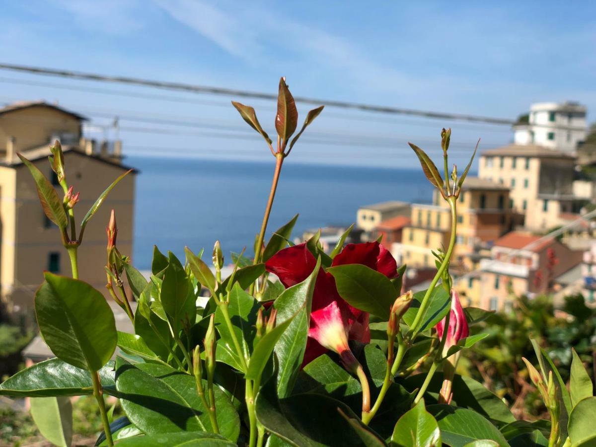 Cinque Terre Coast To Coast Riomaggiore Exterior foto